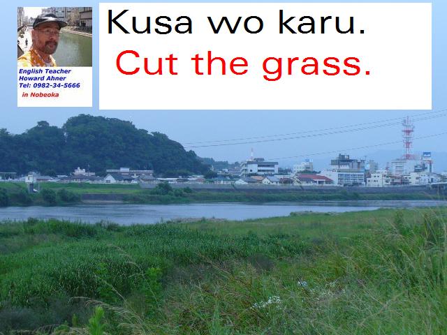 cut-the-grass.jpg