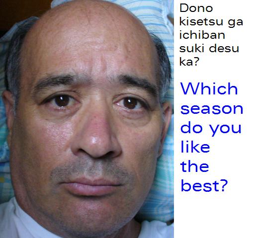 Which-season-do-you-like-the-best.jpg