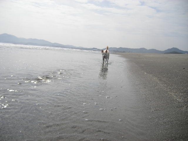 Wind and Sand in Nobeoka